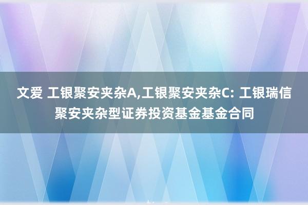 文爱 工银聚安夹杂A，工银聚安夹杂C: 工银瑞信聚安夹杂型证券投资基金基金合同