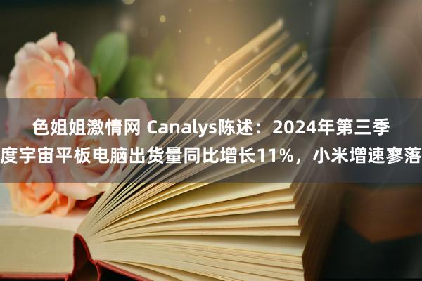 色姐姐激情网 Canalys陈述：2024年第三季度宇宙平板电脑出货量同比增长11%，小米增速寥落