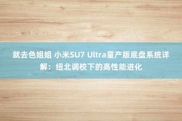 就去色姐姐 小米SU7 Ultra量产版底盘系统详解：纽北调校下的高性能进化