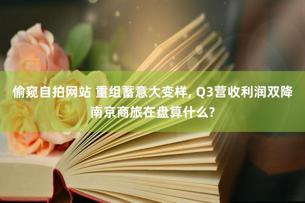 偷窥自拍网站 重组蓄意大变样， Q3营收利润双降南京商旅在盘算什么?