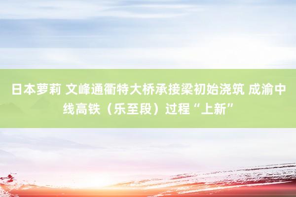 日本萝莉 文峰通衢特大桥承接梁初始浇筑 成渝中线高铁（乐至段）过程“上新”