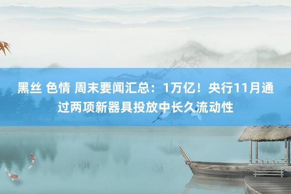 黑丝 色情 周末要闻汇总：1万亿！央行11月通过两项新器具投放中长久流动性