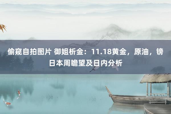 偷窥自拍图片 御姐析金：11.18黄金，原油，镑日本周瞻望及日内分析