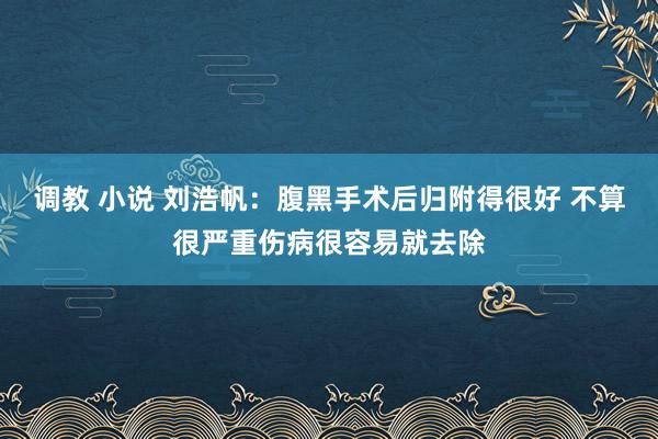 调教 小说 刘浩帆：腹黑手术后归附得很好 不算很严重伤病很容易就去除