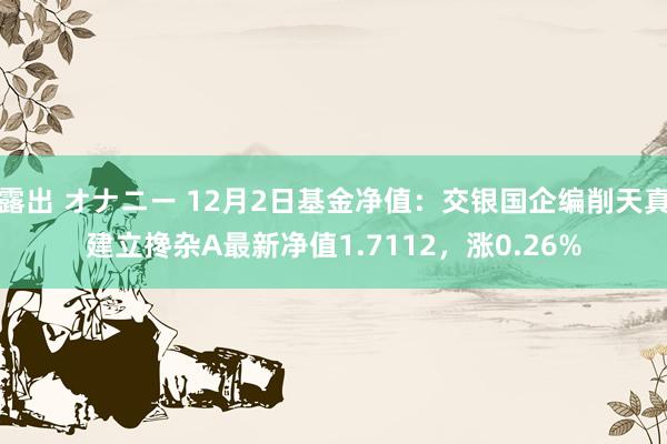 露出 オナニー 12月2日基金净值：交银国企编削天真建立搀杂A最新净值1.7112，涨0.26%