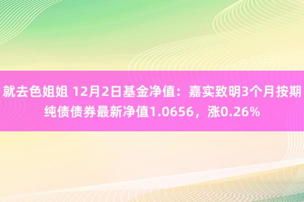 就去色姐姐 12月2日基金净值：嘉实致明3个月按期纯债债券最新净值1.0656，涨0.26%