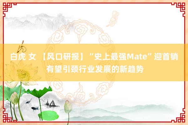 白虎 女 【风口研报】“史上最强Mate”迎首销 有望引颈行业发展的新趋势