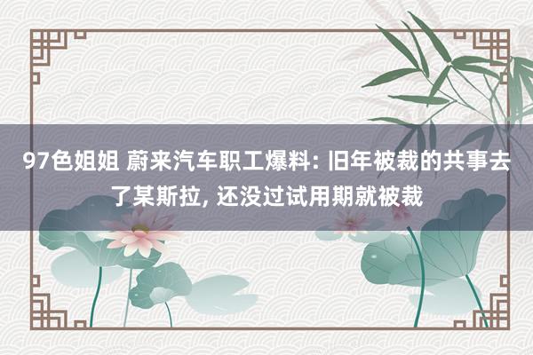 97色姐姐 蔚来汽车职工爆料: 旧年被裁的共事去了某斯拉， 还没过试用期就被裁