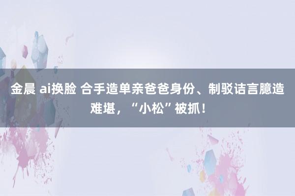 金晨 ai换脸 合手造单亲爸爸身份、制驳诘言臆造难堪，“小松”被抓！