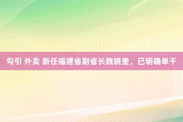 勾引 外卖 新任福建省副省长魏晓奎，已明确单干