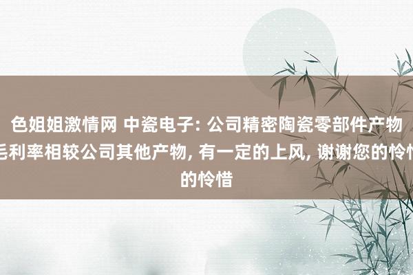 色姐姐激情网 中瓷电子: 公司精密陶瓷零部件产物毛利率相较公司其他产物， 有一定的上风， 谢谢您的怜惜