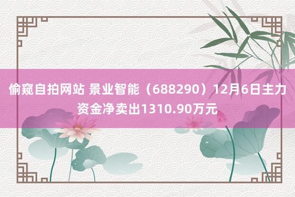 偷窥自拍网站 景业智能（688290）12月6日主力资金净卖出1310.90万元