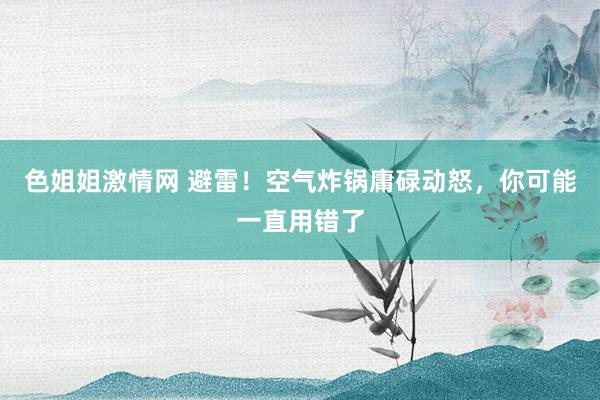 色姐姐激情网 避雷！空气炸锅庸碌动怒，你可能一直用错了