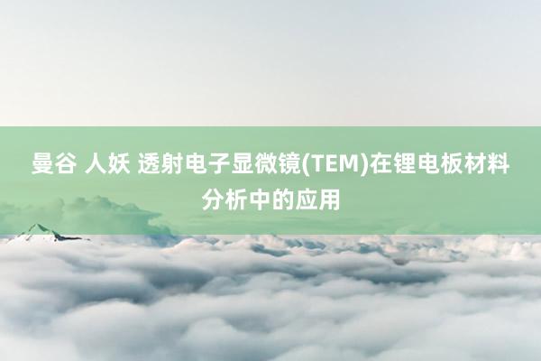 曼谷 人妖 透射电子显微镜(TEM)在锂电板材料分析中的应用