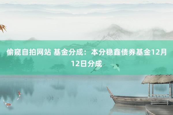 偷窥自拍网站 基金分成：本分稳鑫债券基金12月12日分成