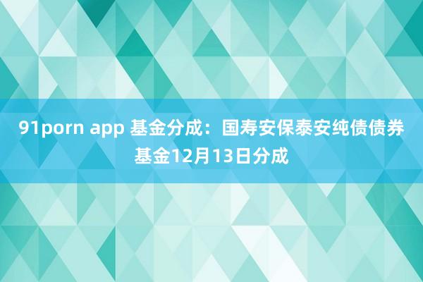 91porn app 基金分成：国寿安保泰安纯债债券基金12月13日分成