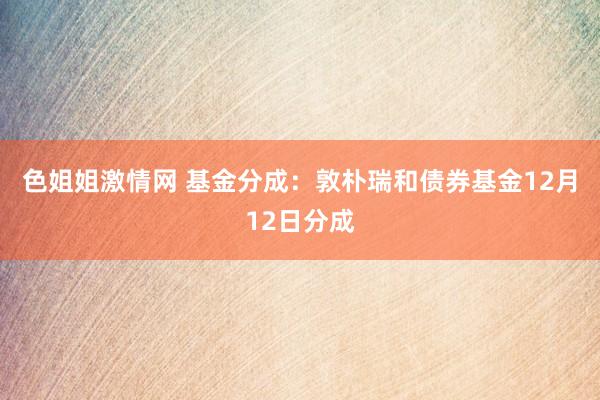 色姐姐激情网 基金分成：敦朴瑞和债券基金12月12日分成