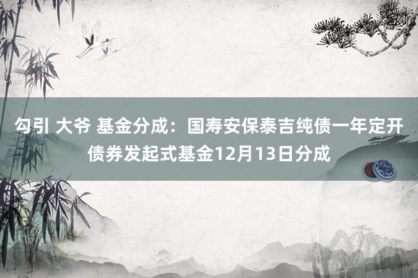 勾引 大爷 基金分成：国寿安保泰吉纯债一年定开债券发起式基金12月13日分成