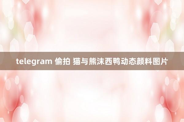 telegram 偷拍 猫与熊沫西鸭动态颜料图片