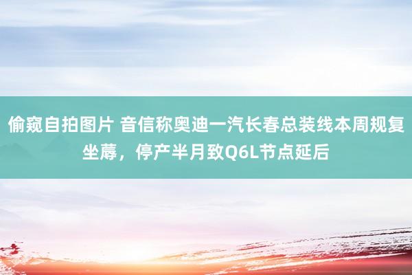 偷窥自拍图片 音信称奥迪一汽长春总装线本周规复坐蓐，停产半月致Q6L节点延后