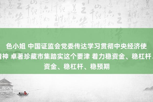 色小姐 中国证监会党委传达学习贯彻中央经济使命会议精神 卓著珍藏市集踏实这个要津 着力稳资金、稳杠杆、稳预期