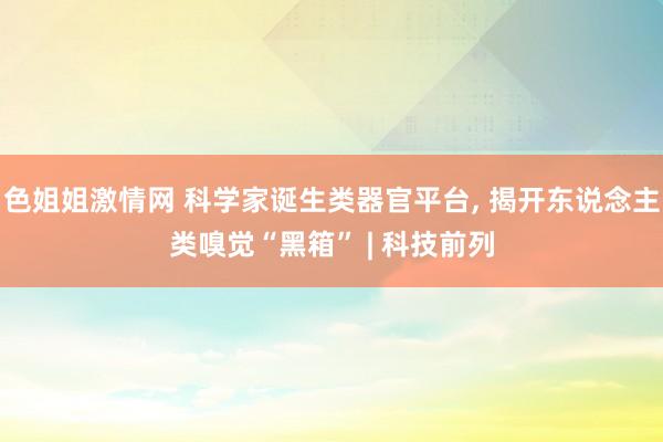 色姐姐激情网 科学家诞生类器官平台， 揭开东说念主类嗅觉“黑箱” | 科技前列