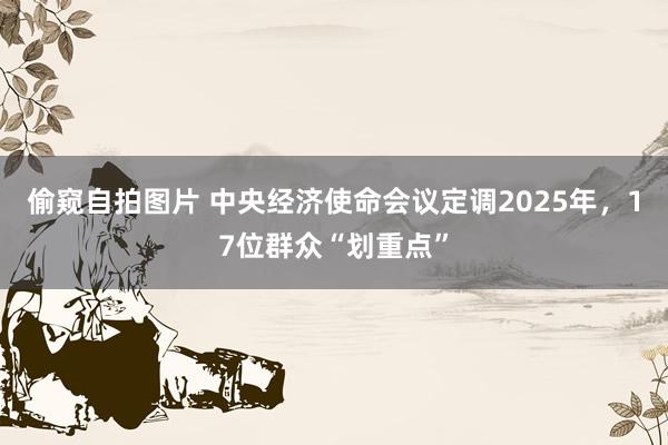 偷窥自拍图片 中央经济使命会议定调2025年，17位群众“划重点”