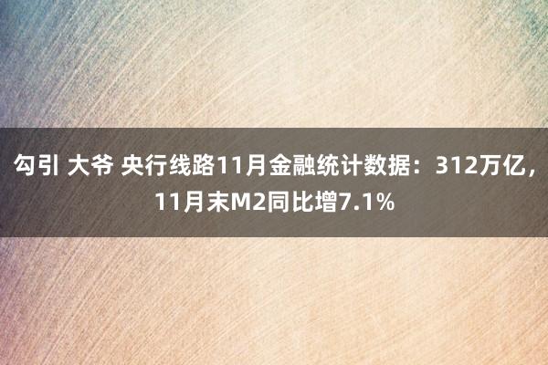 勾引 大爷 央行线路11月金融统计数据：312万亿，11月末M2同比增7.1%