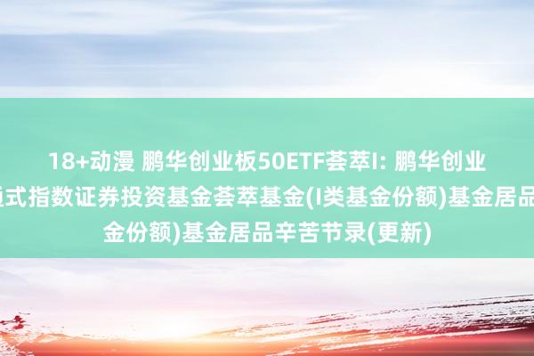 18+动漫 鹏华创业板50ETF荟萃I: 鹏华创业板50来往型灵通式指数证券投资基金荟萃基金(I类基金份额)基金居品辛苦节录(更新)