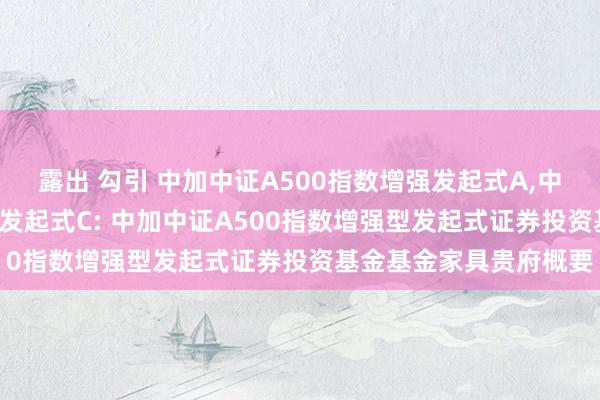 露出 勾引 中加中证A500指数增强发起式A，中加中证A500指数增强发起式C: 中加中证A500指数增强型发起式证券投资基金基金家具贵府概要