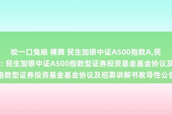 咬一口兔娘 裸舞 民生加银中证A500指数A，民生加银中证A500指数C: 民生加银中证A500指数型证券投资基金基金协议及招募讲解书教导性公告