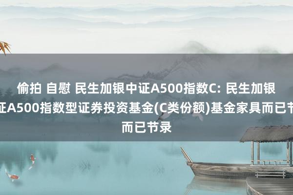 偷拍 自慰 民生加银中证A500指数C: 民生加银中证A500指数型证券投资基金(C类份额)基金家具而已节录