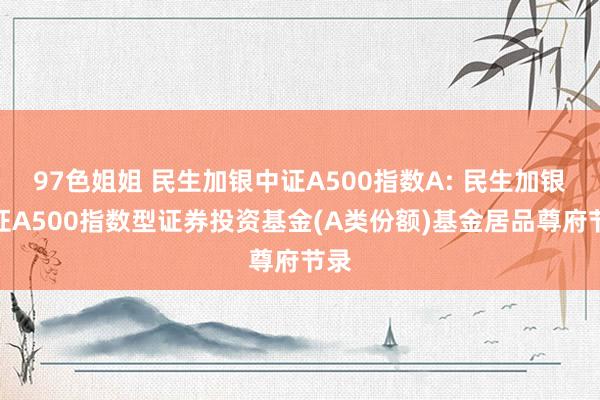 97色姐姐 民生加银中证A500指数A: 民生加银中证A500指数型证券投资基金(A类份额)基金居品尊府节录