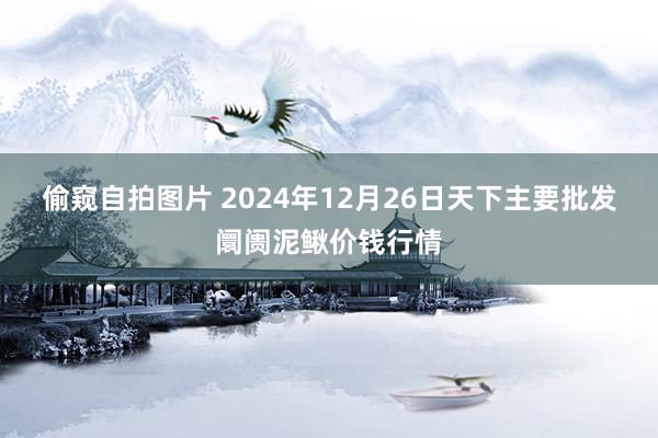 偷窥自拍图片 2024年12月26日天下主要批发阛阓泥鳅价钱行情