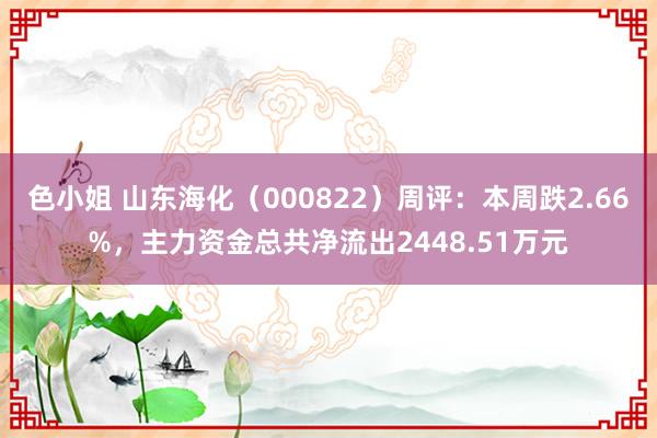 色小姐 山东海化（000822）周评：本周跌2.66%，主力资金总共净流出2448.51万元