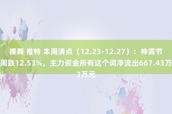 裸舞 推特 本周清点（12.23-12.27）：神雾节能周跌12.53%，主力资金所有这个词净流出667.43万元