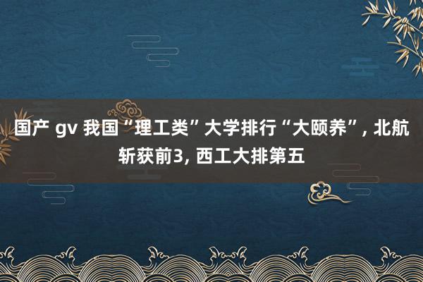 国产 gv 我国“理工类”大学排行“大颐养”， 北航斩获前3， 西工大排第五