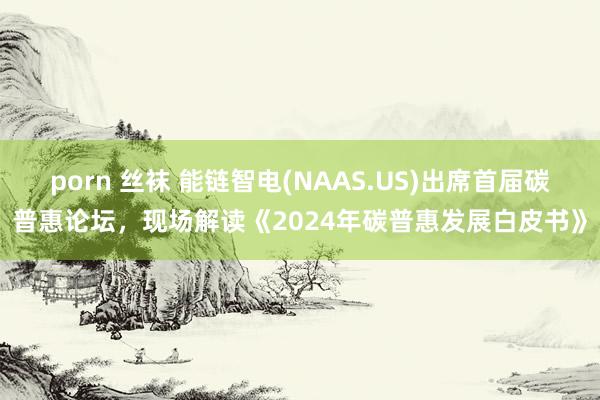 porn 丝袜 能链智电(NAAS.US)出席首届碳普惠论坛，现场解读《2024年碳普惠发展白皮书》