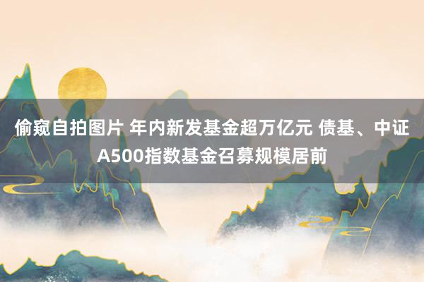 偷窥自拍图片 年内新发基金超万亿元 债基、中证A500指数基金召募规模居前