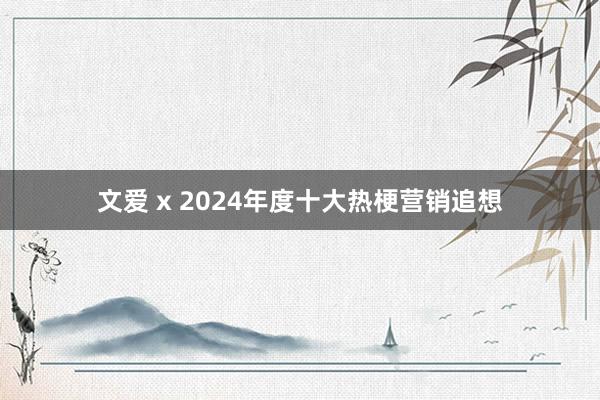 文爱 x 2024年度十大热梗营销追想