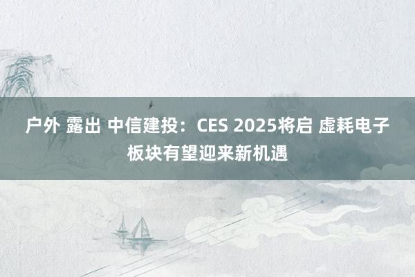 户外 露出 中信建投：CES 2025将启 虚耗电子板块有望迎来新机遇