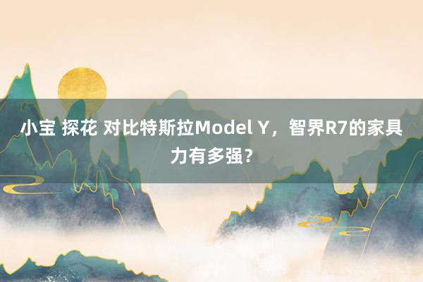 小宝 探花 对比特斯拉Model Y，智界R7的家具力有多强？