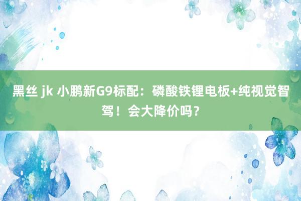 黑丝 jk 小鹏新G9标配：磷酸铁锂电板+纯视觉智驾！会大降价吗？