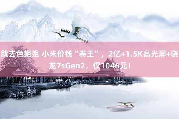 就去色姐姐 小米价钱“卷王”，2亿+1.5K高光屏+骁龙7sGen2，仅1046元！