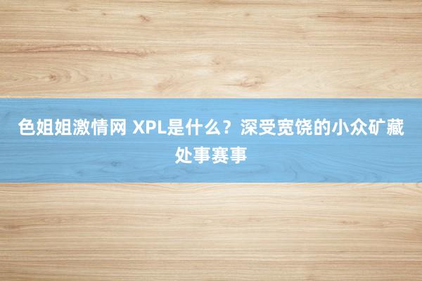 色姐姐激情网 XPL是什么？深受宽饶的小众矿藏处事赛事