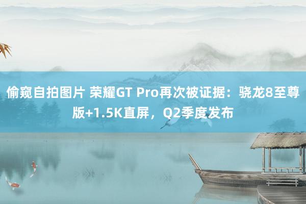 偷窥自拍图片 荣耀GT Pro再次被证据：骁龙8至尊版+1.5K直屏，Q2季度发布