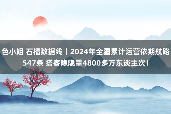 色小姐 石榴数据线丨2024年全疆累计运营依期航路547条 搭客隐隐量4800多万东谈主次！