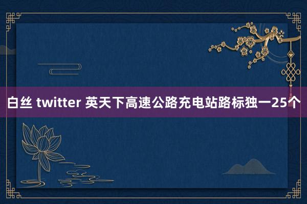 白丝 twitter 英天下高速公路充电站路标独一25个