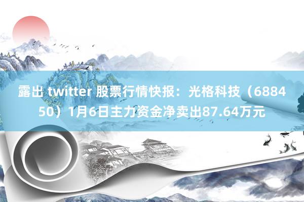 露出 twitter 股票行情快报：光格科技（688450）1月6日主力资金净卖出87.64万元