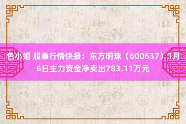 色小姐 股票行情快报：东方明珠（600637）1月6日主力资金净卖出783.11万元